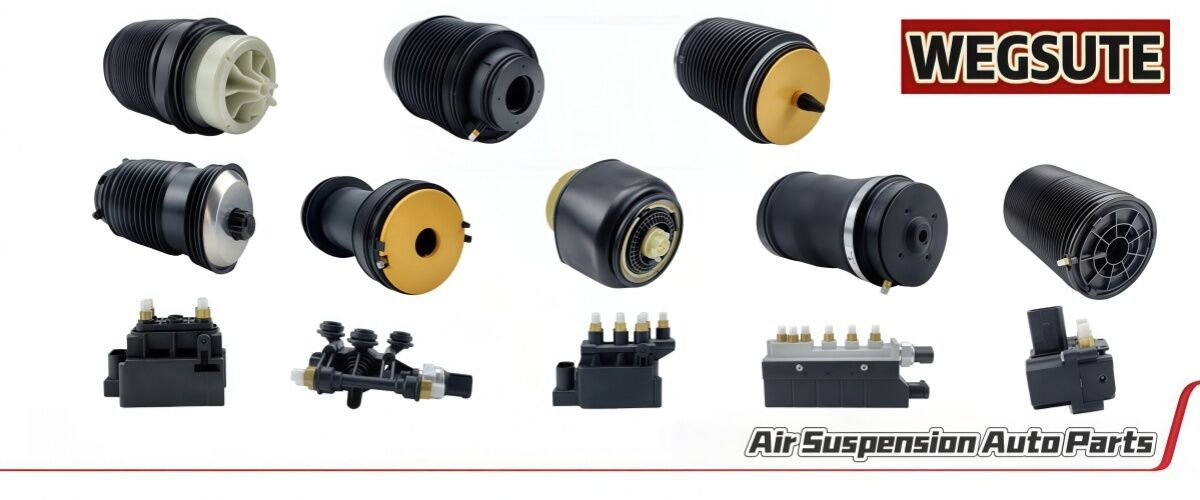 China best Air Suspension Shock on sales