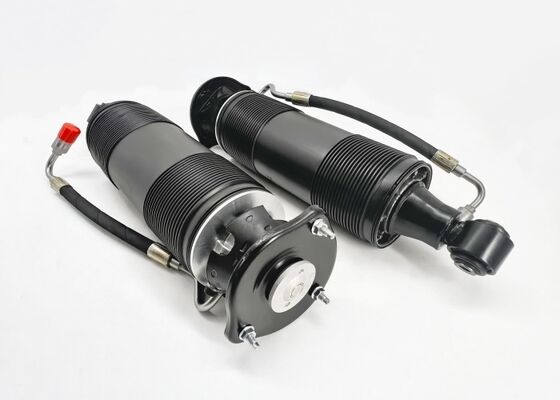 2313201313 2313201413 Rear Suspension Hydraulic Shock Struts For Mercedes SL-Class R231