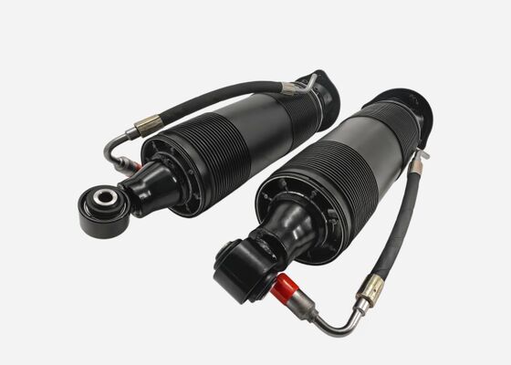 2313201313 2313201413 Rear Suspension Hydraulic Shock Struts For Mercedes SL-Class R231