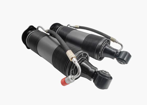 2313201313 2313201413 Rear Suspension Hydraulic Shock Struts For Mercedes SL-Class R231