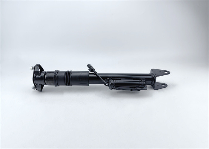 Shock Absorber Air Spring W251 R350 R500 Air Suspension 2513203131