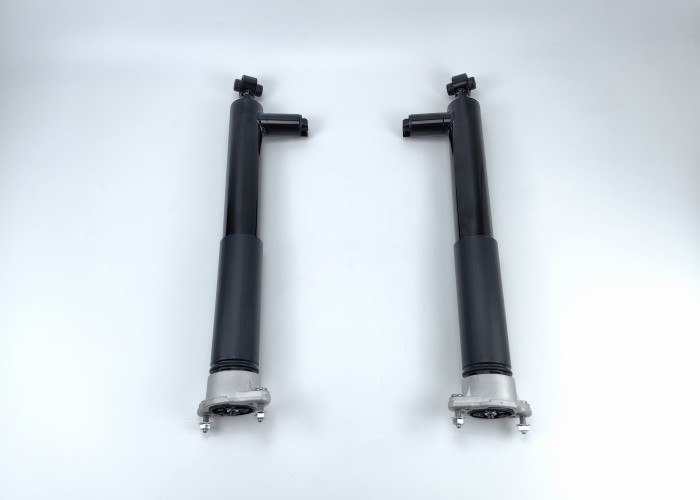 Rear 2183200130 Air Shock Absorber For Mercedes-Benz C218 63AMG