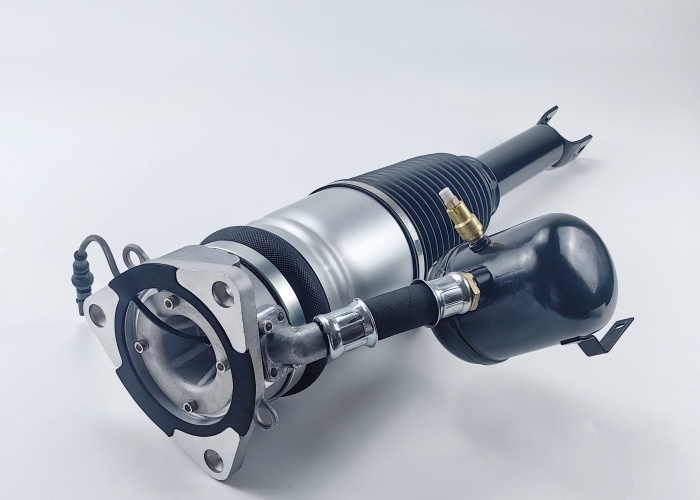 Audi A8 D3 Rear Air Suspension Shock Absorber 4E0616001D