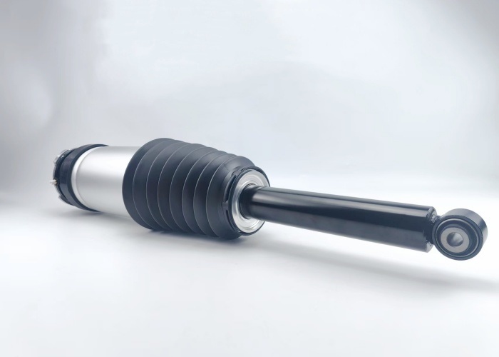 Rear Adjustable Air Shock Absorber RWD For Tesla Model S  2016-2020 1067466-00-D