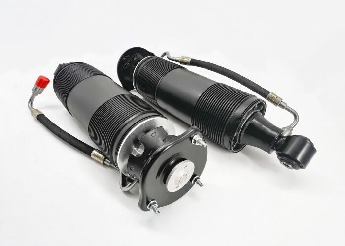 2313201313 2313201413 Rear Suspension Hydraulic Shock Struts For Mercedes SL-Class R231
